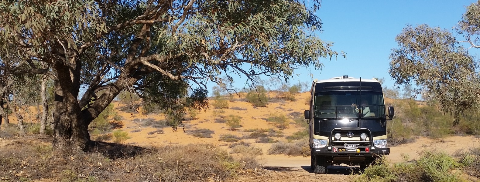 Bus 1 1