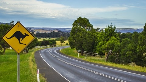 The Best Australian Road Trips