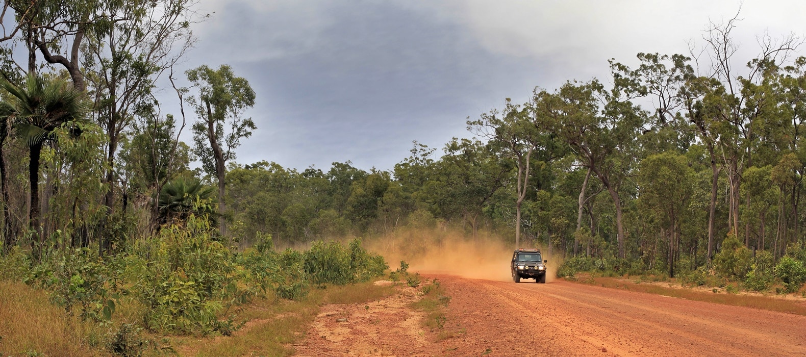 The Best Australian Road Trips 36 Cairns to Cape York 1