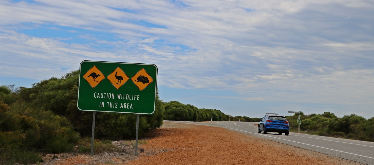 Perth to Ningaloo Reef 1