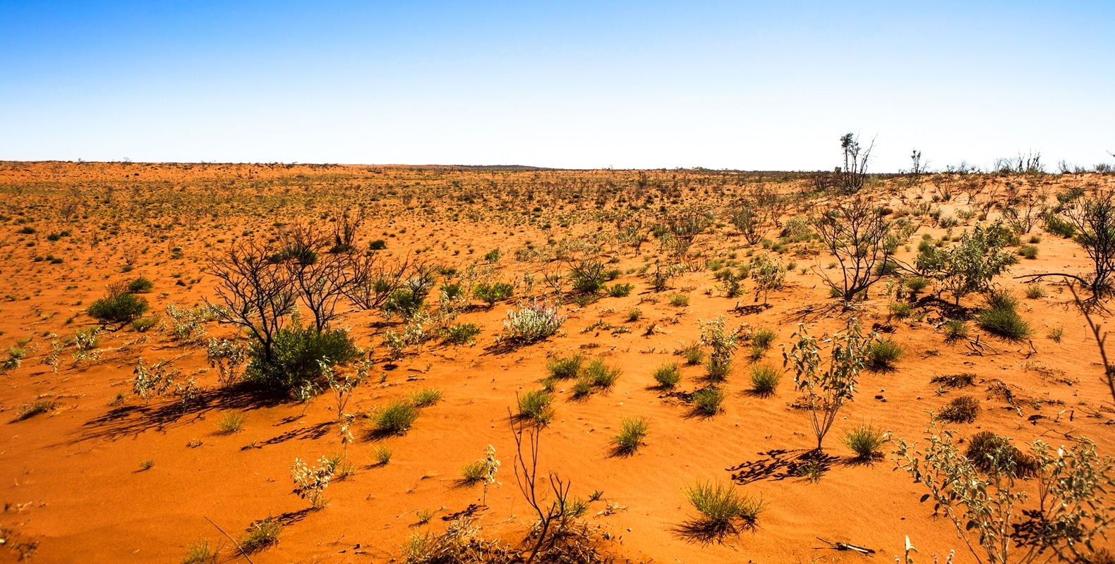 Top 15 Off-Road Tracks in Australia 40 Canning Stock Route WA