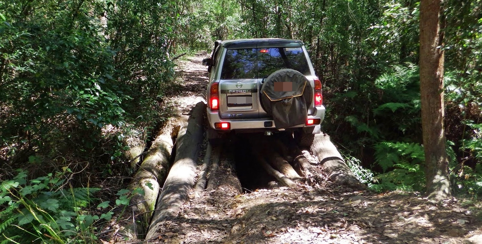 Monkey Gum Track NSW