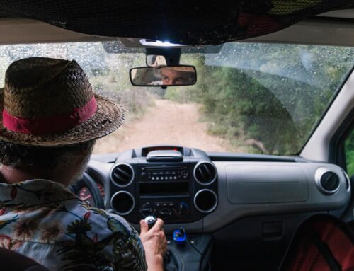 Basics of Off Roading: How to Get Started