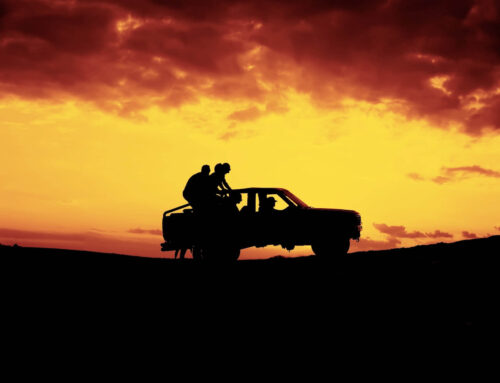 Four Wheel Drive Off Road Vehicles – Are They the Best Option?