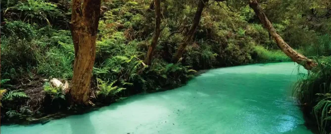 Leisure 33 River in the jungle | image for the Leisure Industries page.